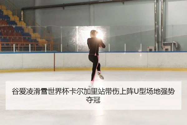 gu-ai-ling-hua-xue-shi-jie-bei-ka-er-jia-li-zhan-dai-shang-shang-zhen-xing-chang-di-qiang-shi-duo-guan-2-100.jpg